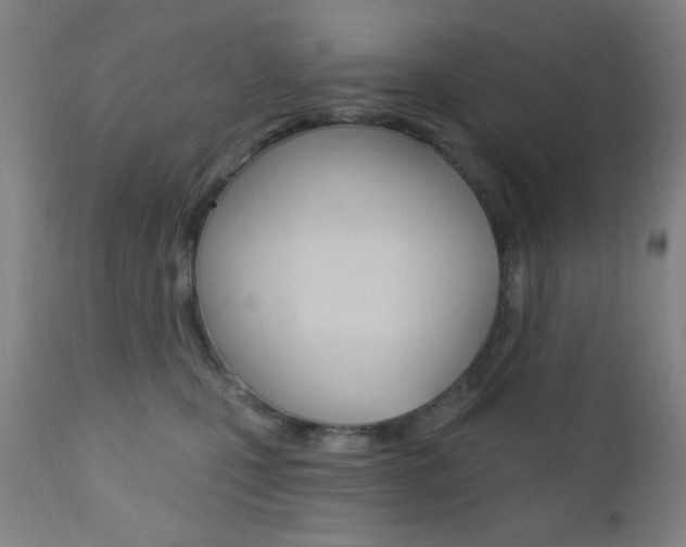 X0000110940471200906191054