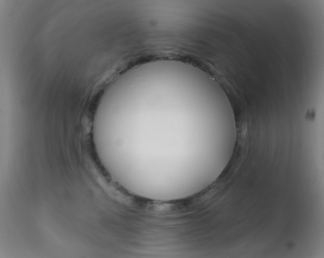X0000110940472200906191054