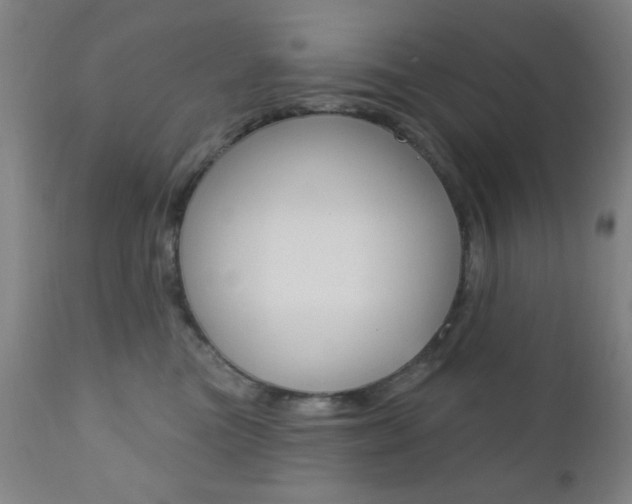 X0000110940473200906191054