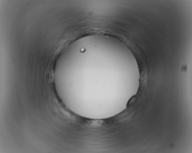 X0000110940474200906191054