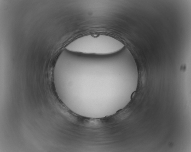X0000110940475200906191054