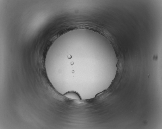 X0000110940477200906191054