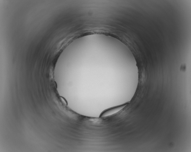 X0000110940478200906191054