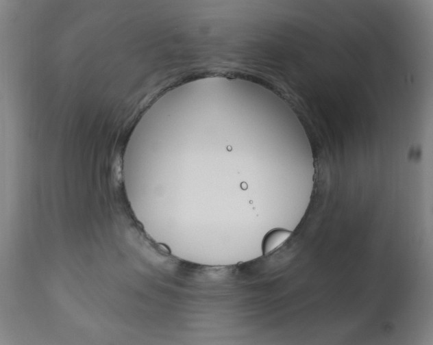 X0000110940479200906191054