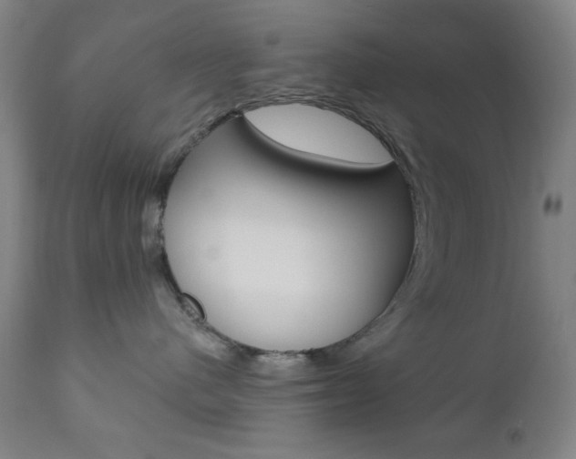 X0000110940480200906191054