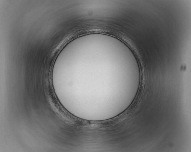 X0000110940482200906191054