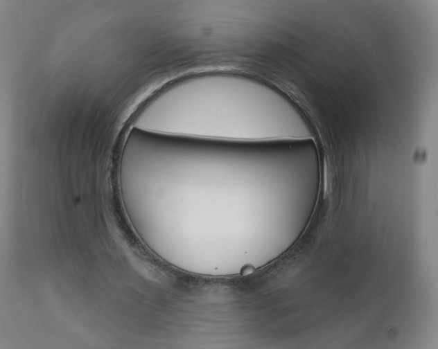 X0000110940483200906191054