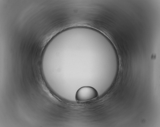 X0000110940485200906191054