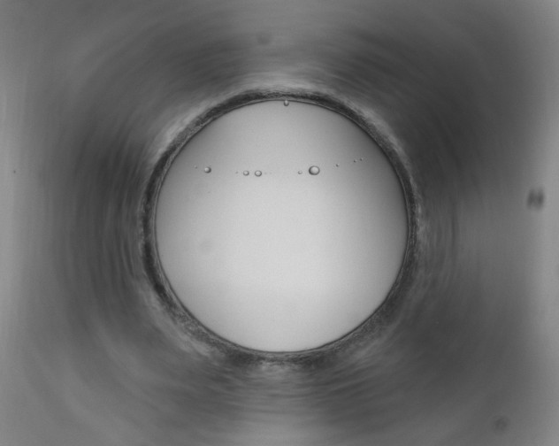 X0000110940487200906191054