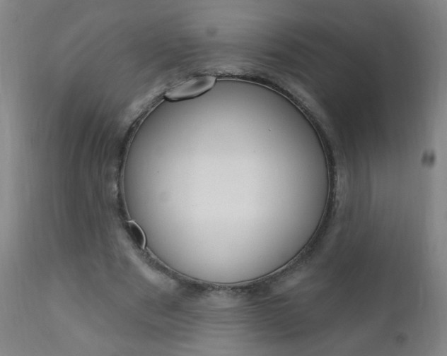 X0000110940489200906191054