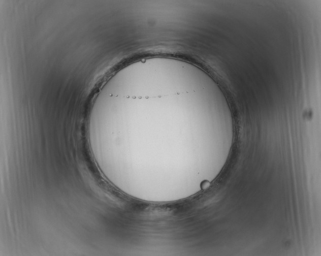 X0000110940491200906191054
