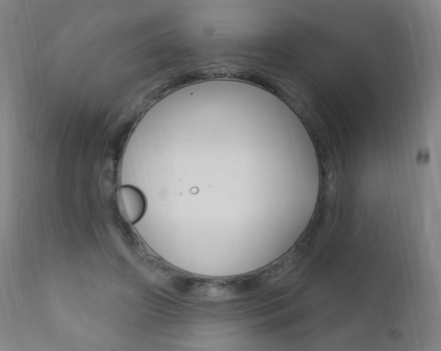 X0000110940498200906191053