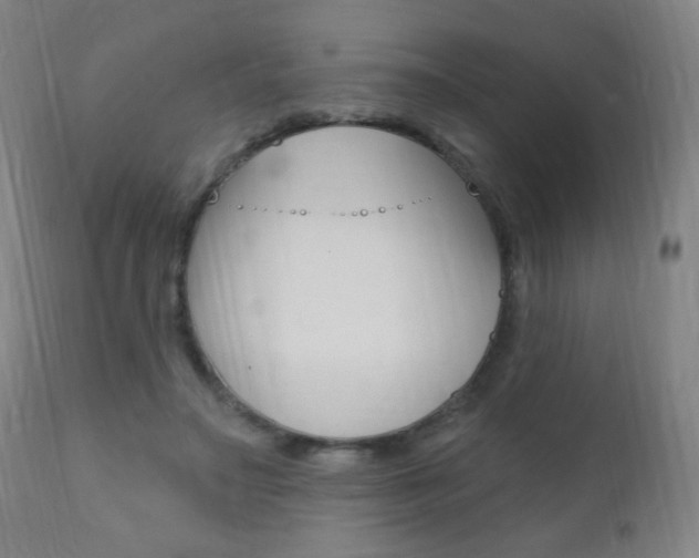 X0000110940499200906191053