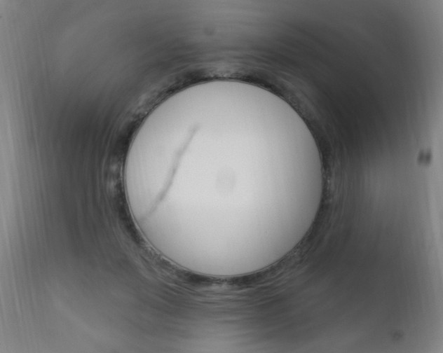 X0000110940503200906191053