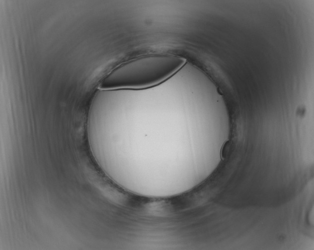 X0000110940505200906191053