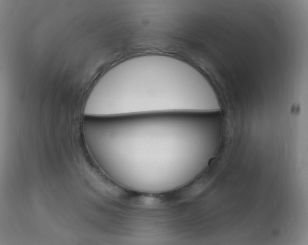 X0000110940509200906191053