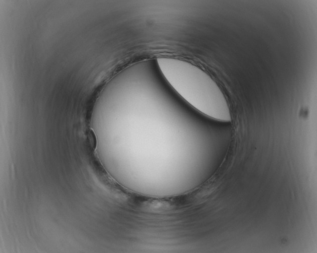 X0000110940512200906191053