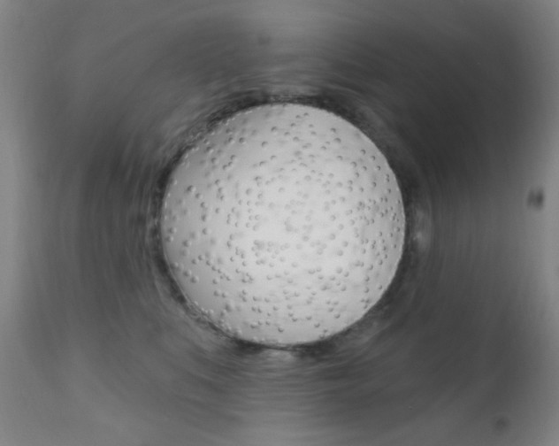 X0000110940519200906191053