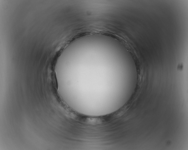 X0000110940520200906191053