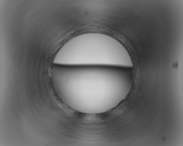 X0000110940521200906191053