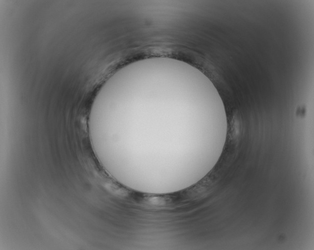 X0000110940522200906191053