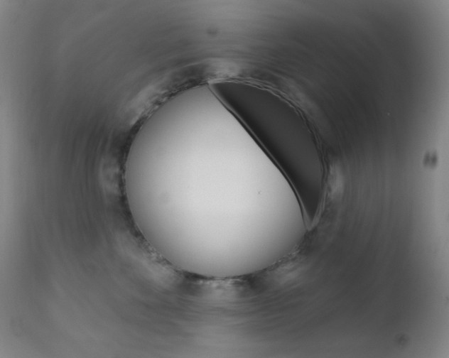 X0000110940524200906191053