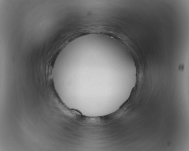 X0000110940525200906191053