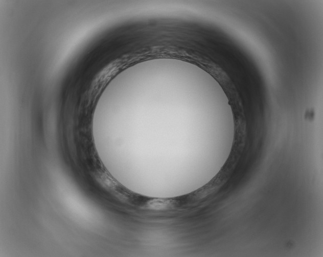 X0000110940526200906191053