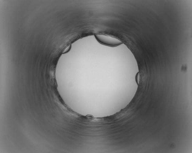X0000110940527200906191053