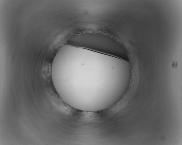 X0000110940528200906191053
