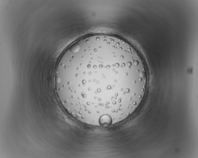 X0000110940529200906191052