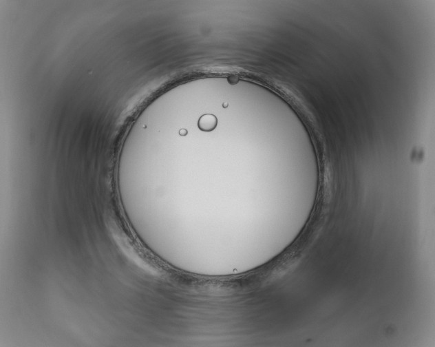 X0000110940533200906191052