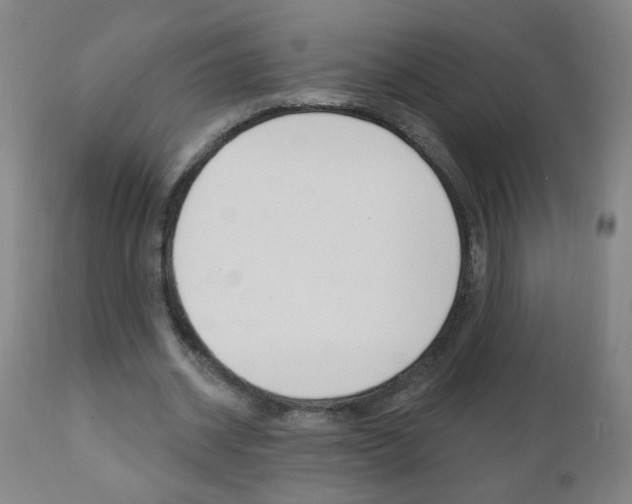 X0000110940534200906191052