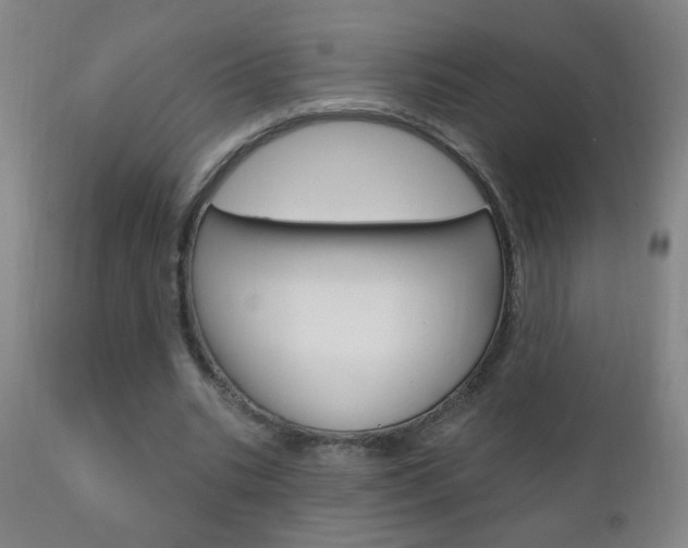 X0000110940535200906191052