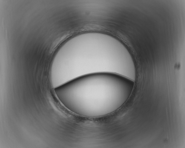 X0000110940538200906191053