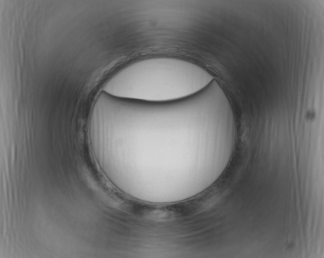 X0000110940542200906191053
