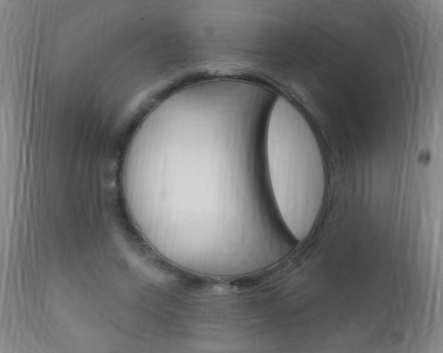 X0000110940543200906191053