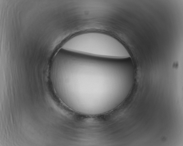 X0000110940544200906191053