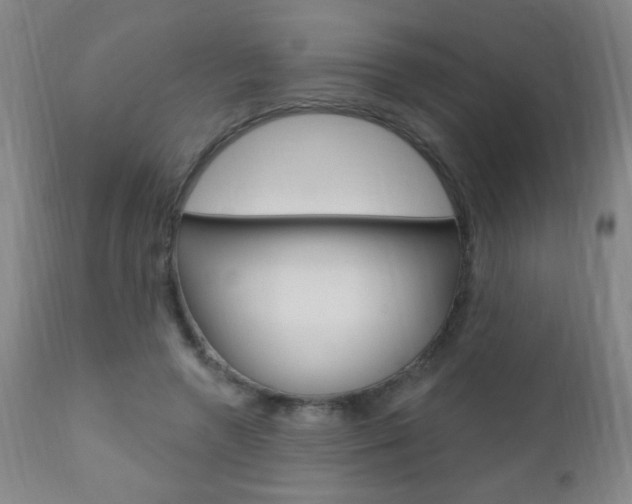 X0000110940546200906191053