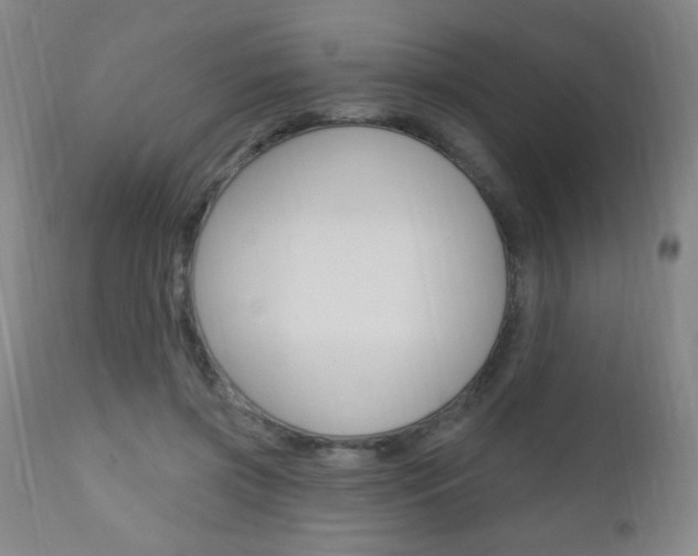 X0000110940549200906191053