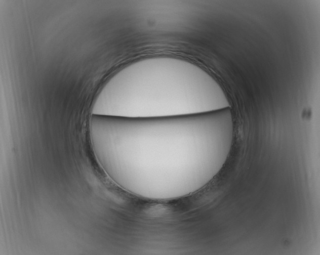 X0000110940551200906191053