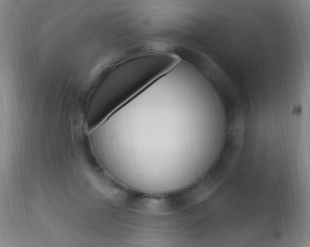 X0000110940552200906191053