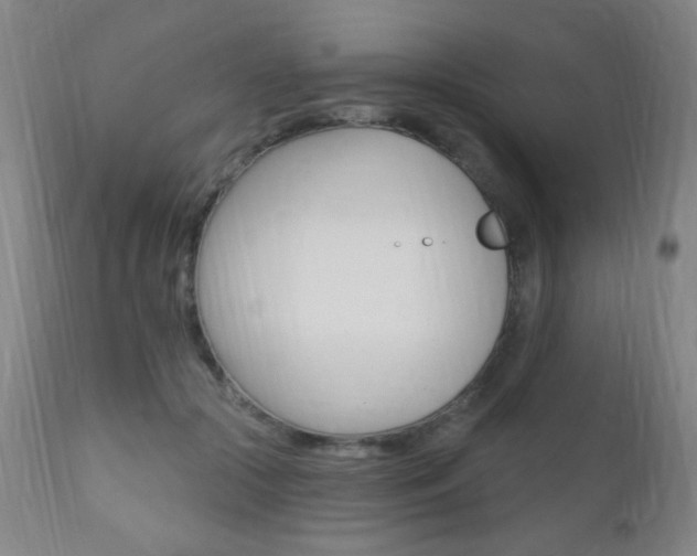 X0000110940553200906191053