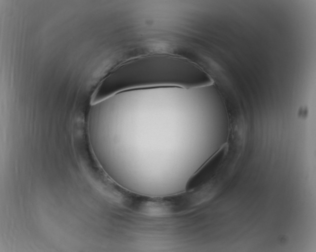 X0000110940556200906191053