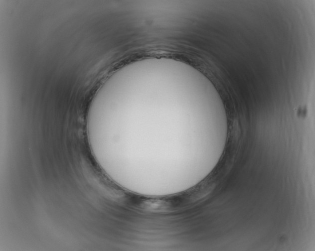 X0000110940557200906191053