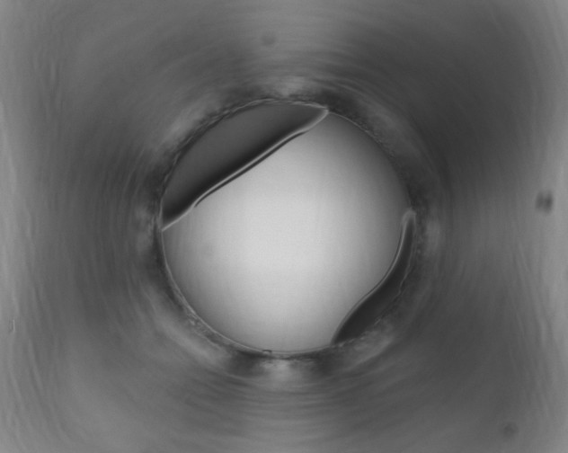 X0000110940558200906191053