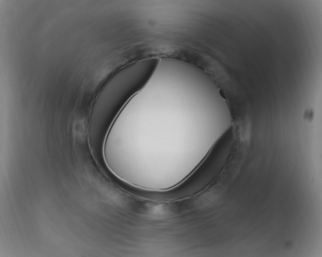 X0000110940564200906191053