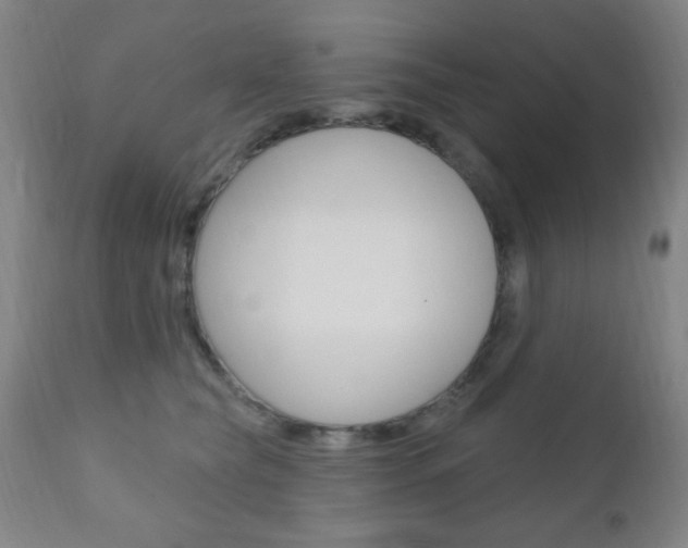 X0000110940565200906191053