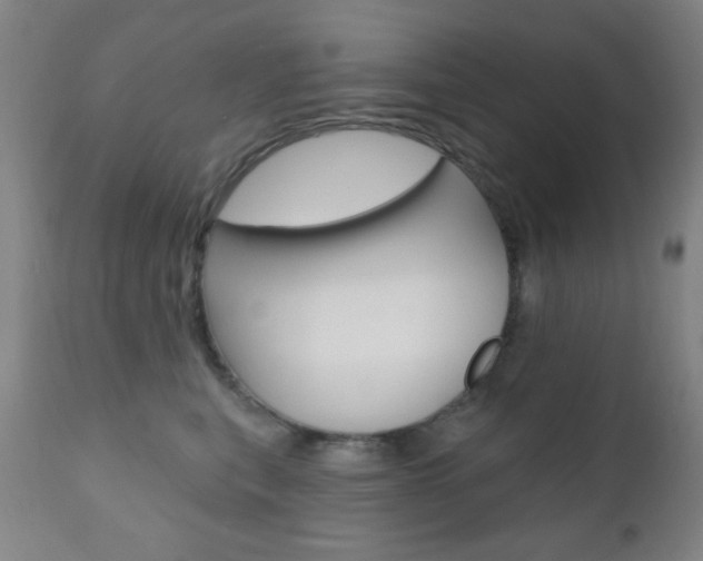 X0000110940567200906191053