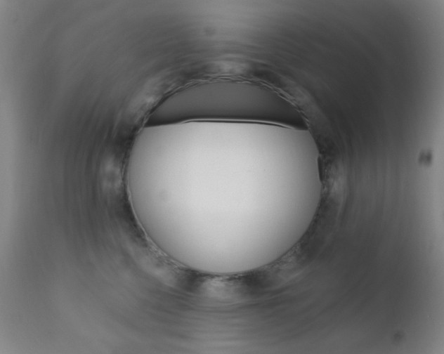X0000110940568200906191053
